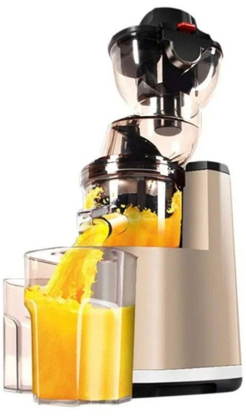 آبمیوه گیری راف مدل 2838 ظرفیت0/8لیتر،2سرعته،اصلی